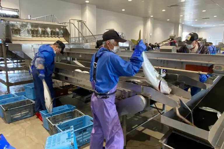 生産者（水産業・農産業）向け事業 | 【公式】タカハシ包装センター