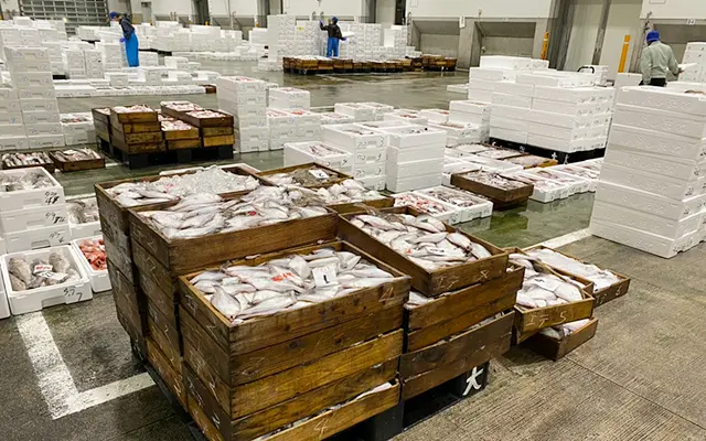 生産者（水産業・農産業）向け事業 | 【公式】タカハシ包装センター
